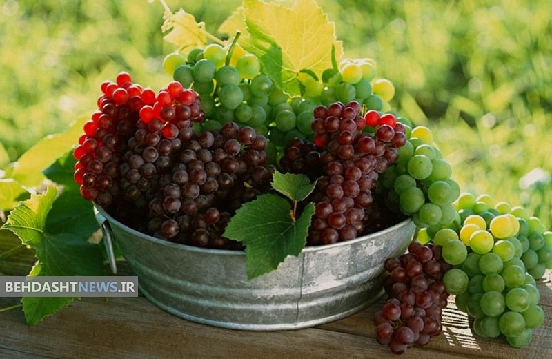انگور قرمز افسردگی را کاهش می دهد