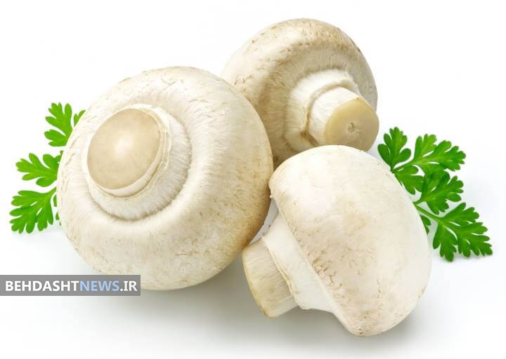 تشدید آلرژی بهاری با مصرف ماست و قارچ