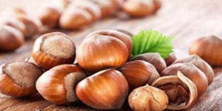 یک آجیل همه کاره؛ ازدرمان کم خونی تا رفع یبوست 