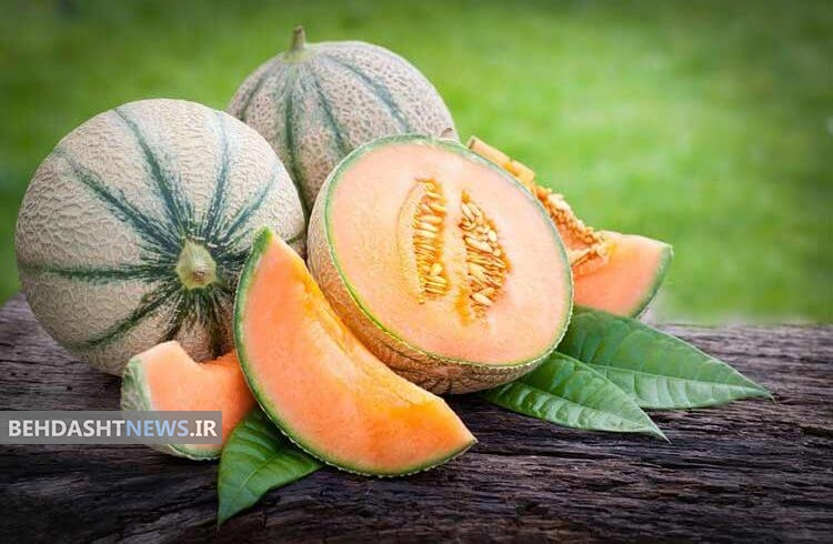  طالبی و خواص ویژه آن 