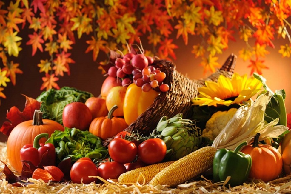 چند توصیه کلیدی برای تغذیه در فصل پاییز