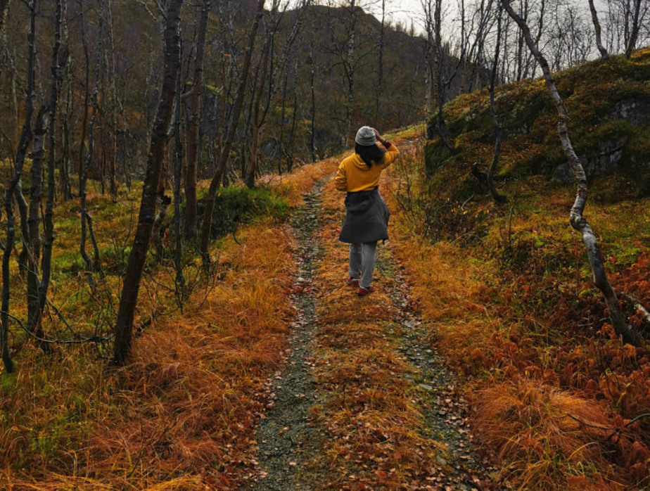 طبیعت پاییزی در گوشه و کنار جهان + عکس 