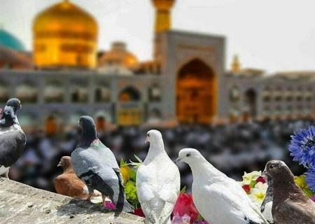سفر به مقصد مشهد مقدس ممنوع شد