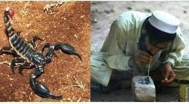 بدترین نوع اعتیاد در پاکستان!؟ + عکس