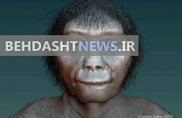  هابیت‌ها از اعضای قدیمی خانواده انسان 