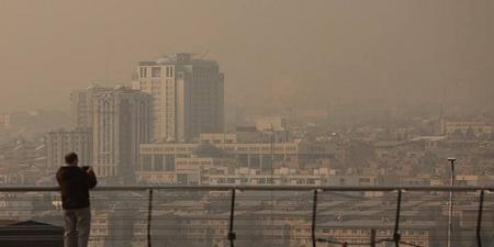 آلودگی هوا چند تن از نوزادان را کشته است؟