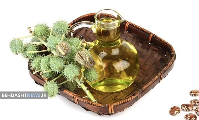  روغن هایی معجزه آسا برای کاهش وزن 