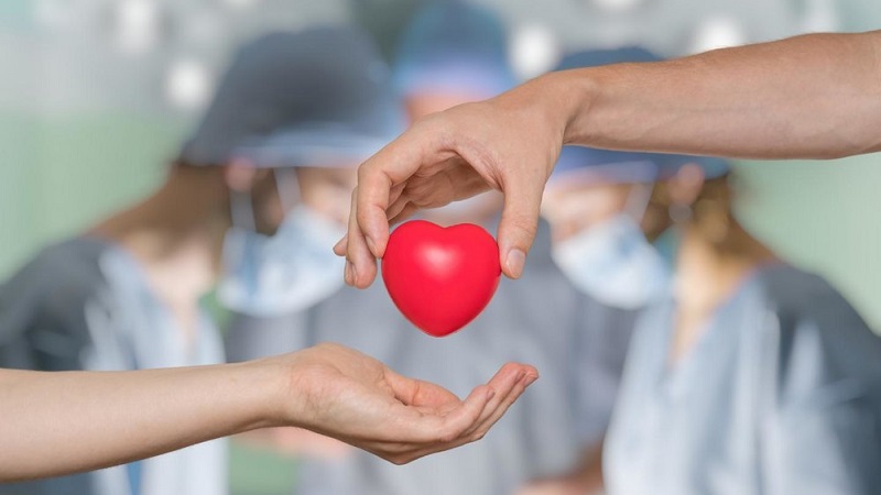 اختصاصی| حمایت از انجام ۸۰۱۴ عمل پیوند کبد و قلب در کشور 