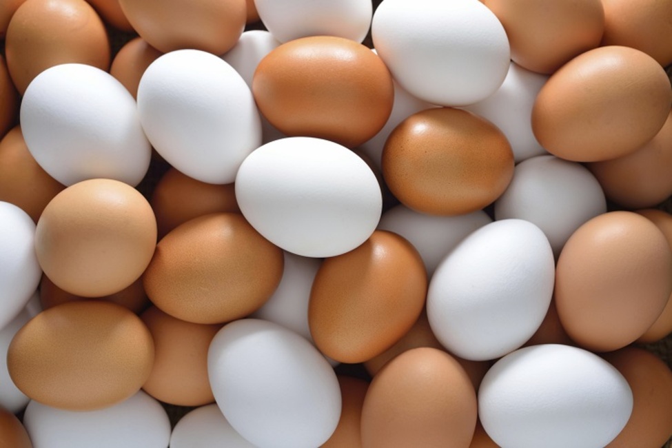 تخم مرغ سفید و قهوه‌ای چه فرقی با هم دارند؟