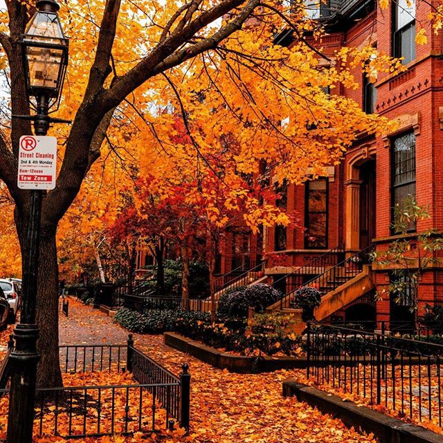 پاییز هزاررنگ رویایی در بوستون + عکس