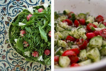 سبزی خوردن بهتر است یا سالاد شیرازی