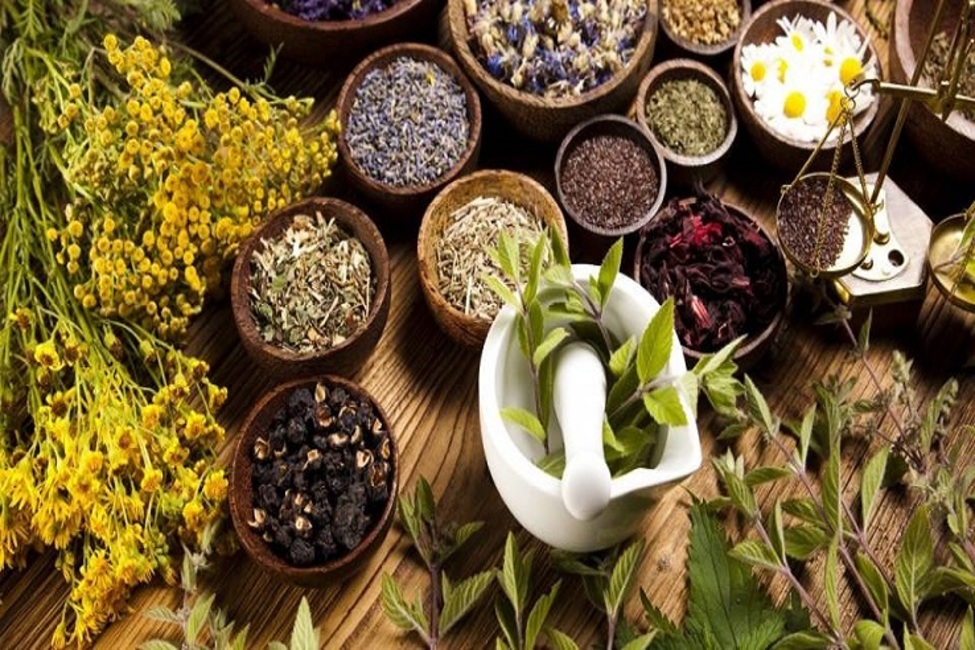 سایه غفلت بر سر «طب سنتی» و صادرات گیاهان دارویی