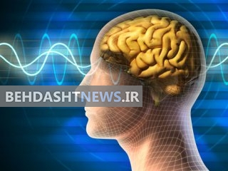 آزمون شخصیت شناسی