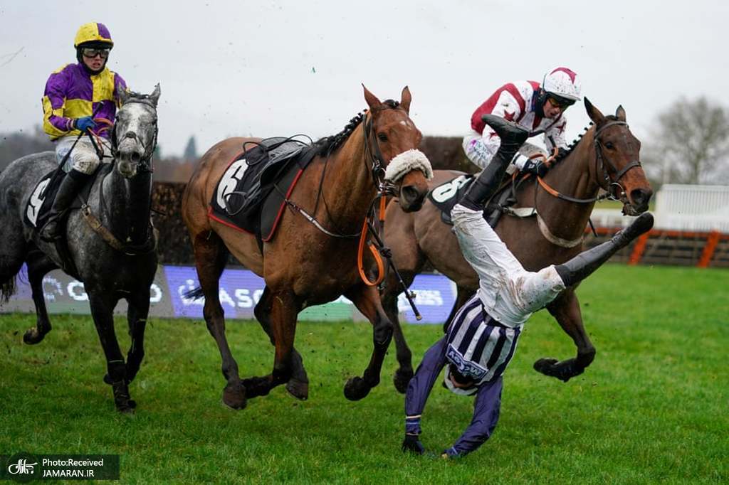 سقوط خطرناک اسب سوار + عکس