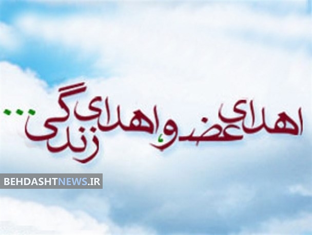 هر روز 7 تا 10 نفر به دلیل نرسیدن عضو می‌میرند