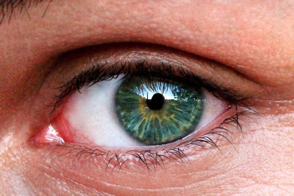  غفلت در درمان برخی بیماری‌های چشم عوارض جبران‌ناپذیر دارد