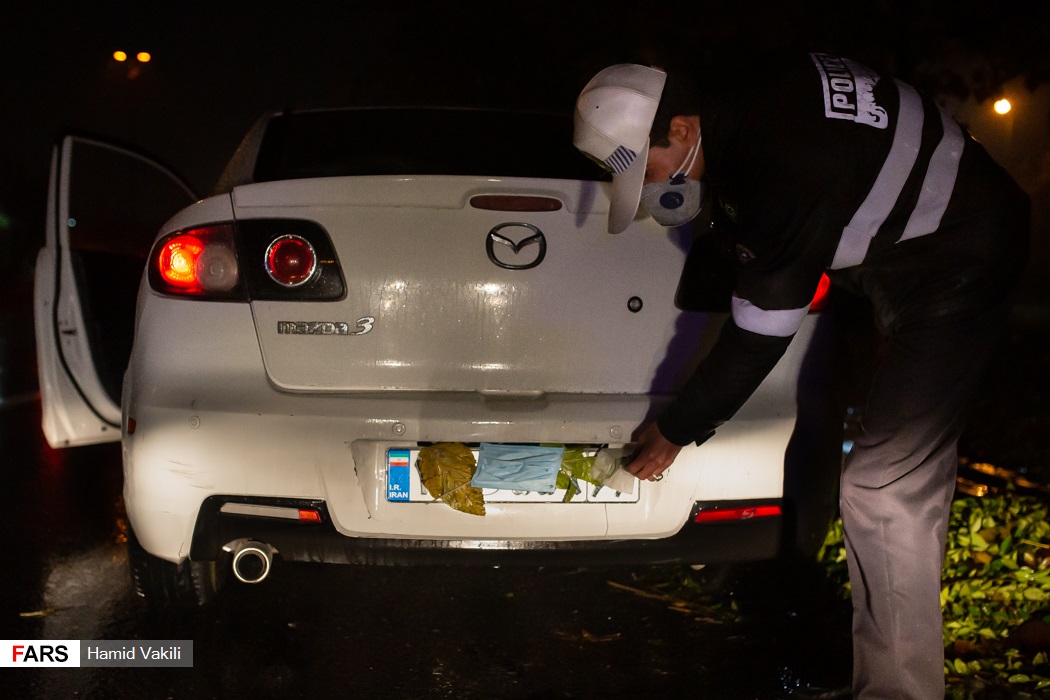 پوشاندن پلاک خودرو با ماسک و برگ! + عکس