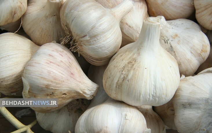 معجزه‌ای به نام موسیر ایرانی
