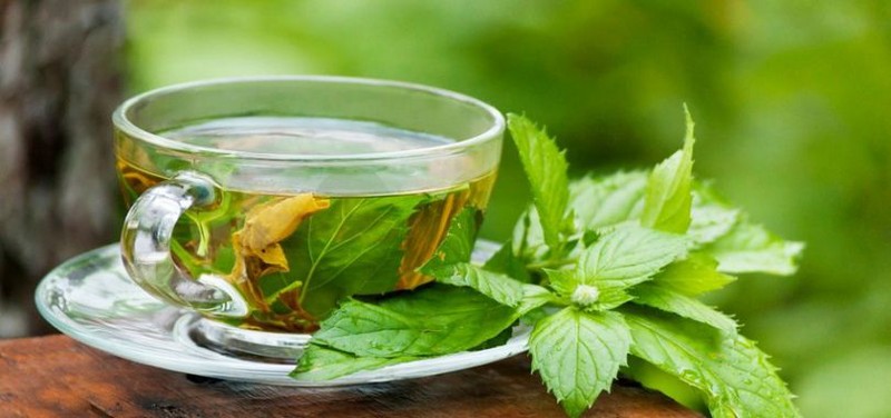 آیا واقعا دمنوشها سیستم ایمنی بدن را تقویت میکنند؟ آیا واقعا دمنوشها سیستم ایمنی بدن را تقویت میکنند؟