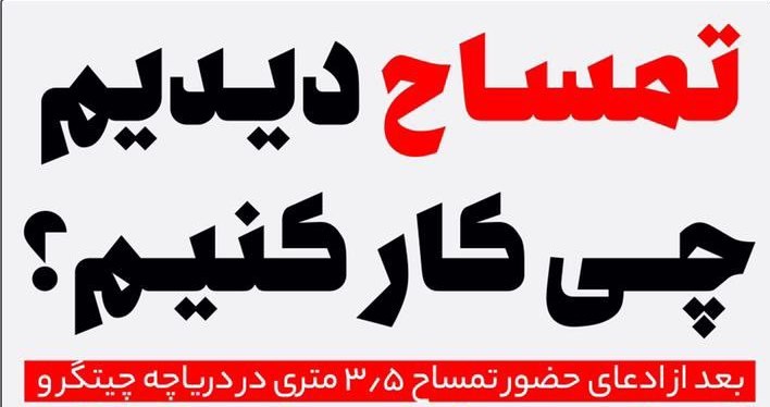 در صورت دیدن تمساح چه کار کنیم؟! + عکس