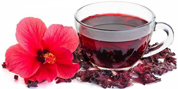 ۶ گیاهی که فشار خونتان را کاهش می‌دهند