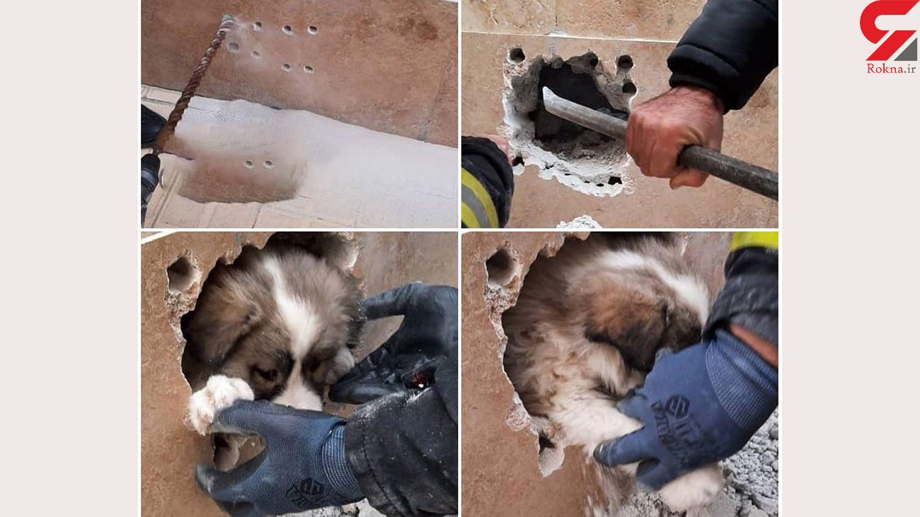 کار زیبای آتشنشان تبریزی + عکس