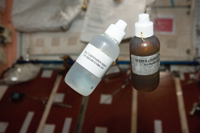 بررسی سطح سدیم بدن در فضا