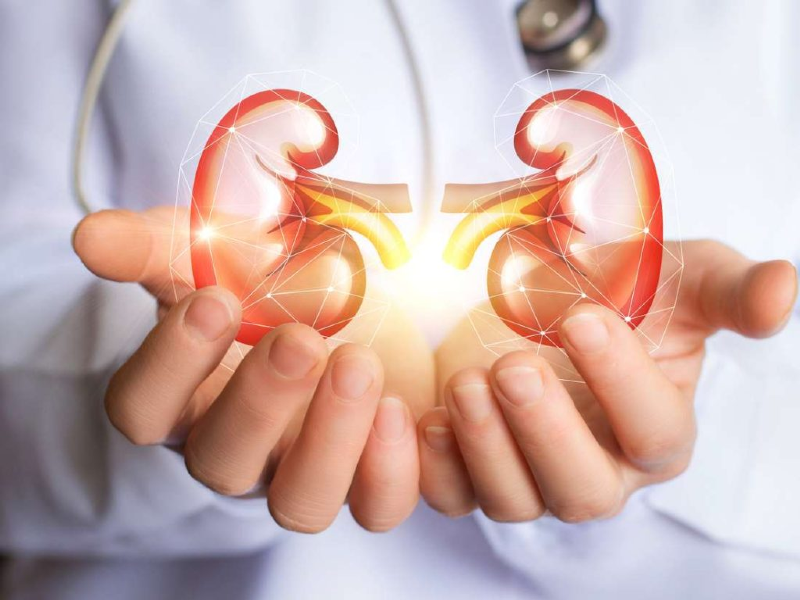 پنج راه ساده برای حفظ سلامت کلیه‌ها+ اینفوگرافی