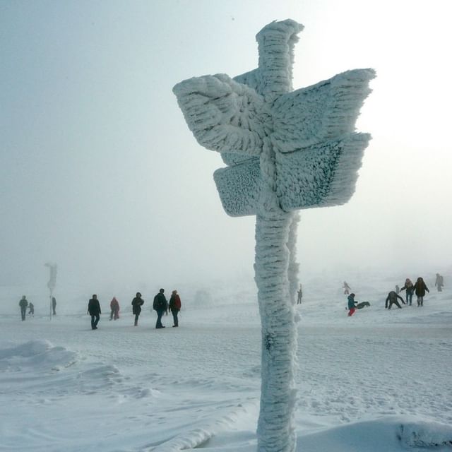 یخ زدگی در پی بارش برف در آلمان + عکس