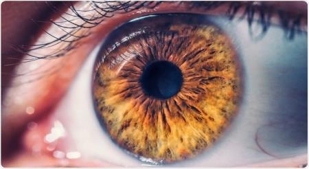چه موقع مگس پران ها را باید جدی بگیریم؟