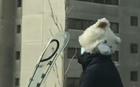 صحنه عجیب در اتوبان ستاری! + عکس