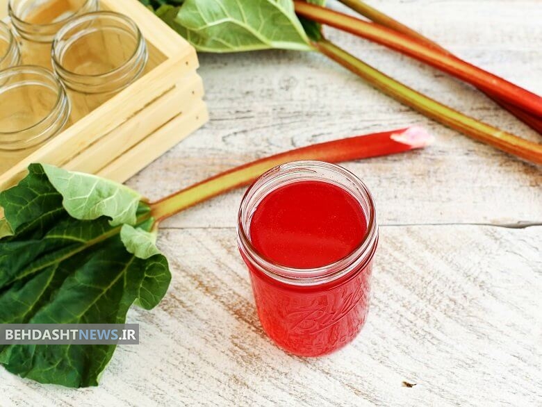 ریواس مرهم کبدهای با مزاج گرم است