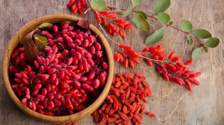 خواص حیرت انگیز مصرف زرشک