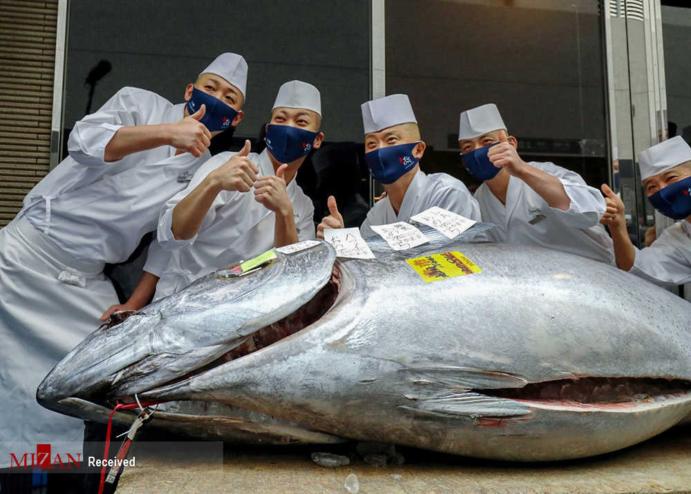 حراج ماهی تن در سال نو + عکس