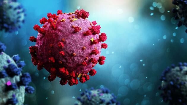 استانی که در 24 ساعت گذشته هیچ فوتی ناشی از کرونا نداشته است