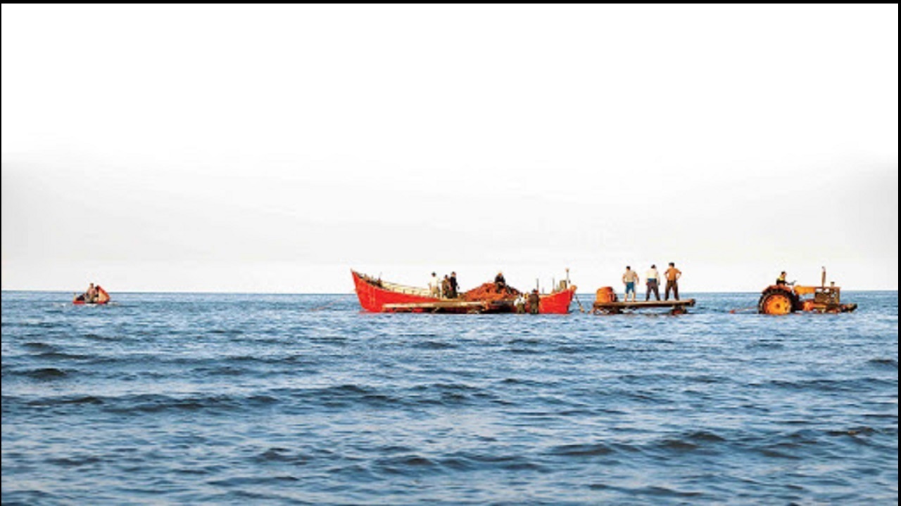 تعجب صیادان استرالیایی پس از صید موجودی عجیب از دریا + عکس