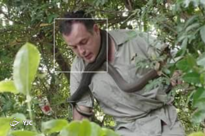 مار غول پیکر در حال خفه کردن یک مرد+ عکس