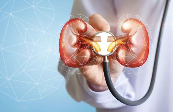 سنگ کلیه و راه های پیشگیری و درمان