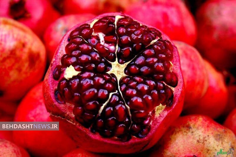  ماده اولیه برای داروی ضد پیری در انار کشف شد