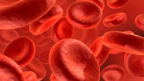 چطور تعداد گلبول های قرمز خون را افزایش دهیم؟ 
