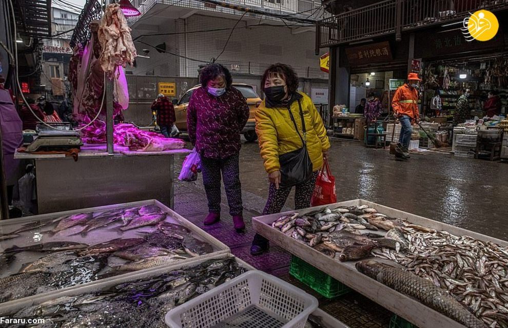 گشتی در بازارهای ووهان چین + عکس