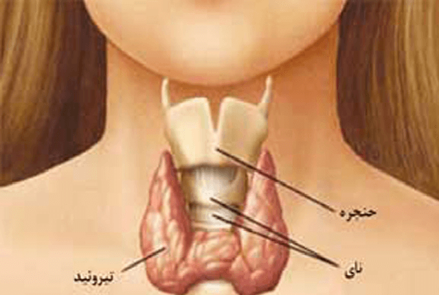  مراقب خستگی صدایتان باشید