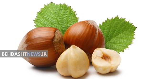 فندق و خواص خوشمزه و لذت بخش آن