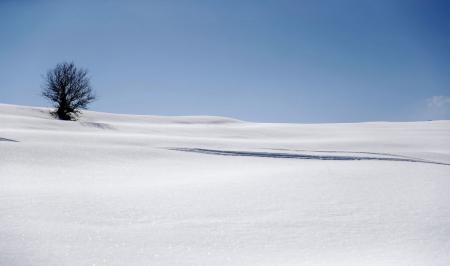مناظر زیبای زمستانی کوهستان های لبنان + عکس