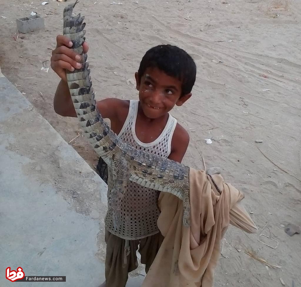 کودک معروف ایرانی نجات دهنده تمساح +عکس