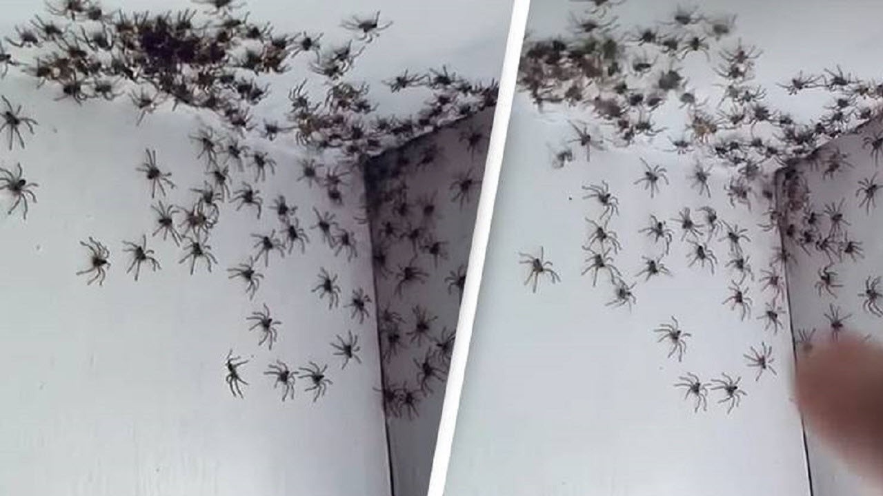 صحنه شوکه کننده ای که مادر در اتاق دخترش دید +عکس