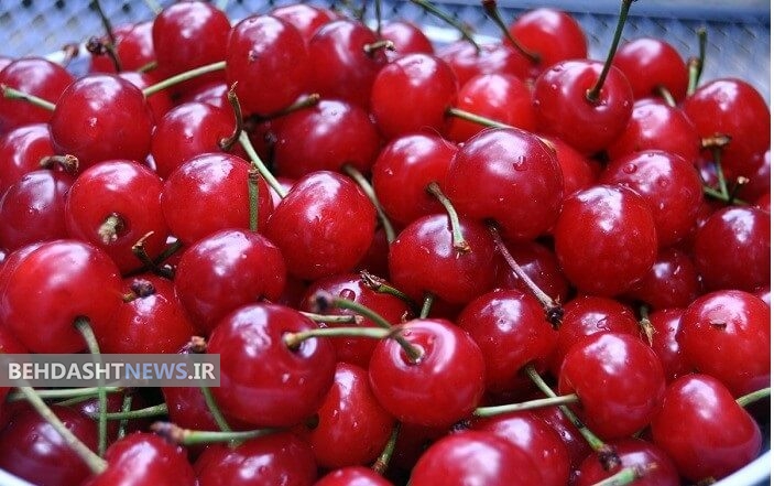 خواص درمانی و فواید غذایی آلبالو