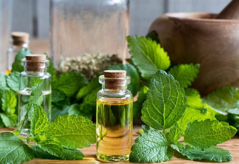 با این گیاه، به جنگ افسردگی بروید