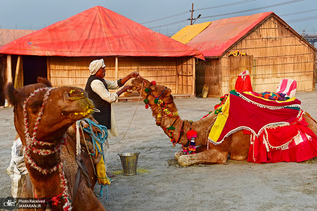 نمایشگاه سالانه هندوها در الله آباد، هند + عکس