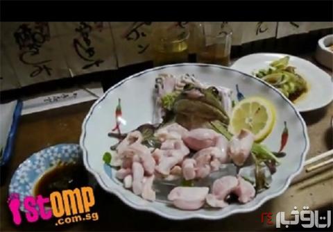 پخت قورباغه زنده در ژاپن + عکس